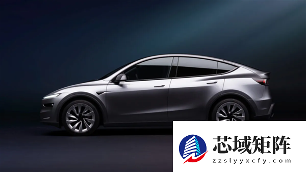 特斯拉Model Y可靠性最差！德国人说的