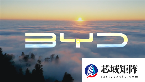 王传福:当前技术领先度不及前几年 比亚迪将发布重磅技术