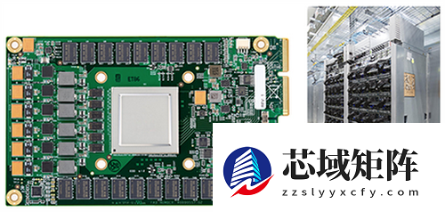 谷歌憋了十年的大招 让英伟达好日子到头了?