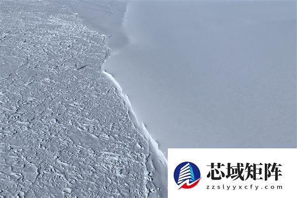 黑龙江水库冰面下现13匹冰冻马 主人：马扎堆喝水落水淹死