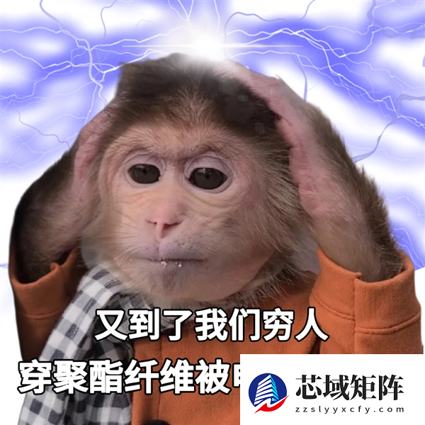 用了几十年的聚酯纤维：是怎么在互联网塌房的