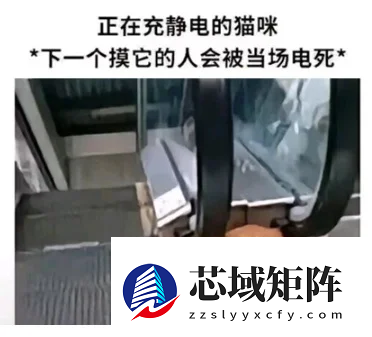 用了几十年的聚酯纤维：是怎么在互联网塌房的