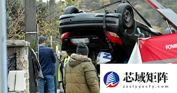 法国三男孩飙车冲进泳池被淹死：房屋主人早起只觉天塌了