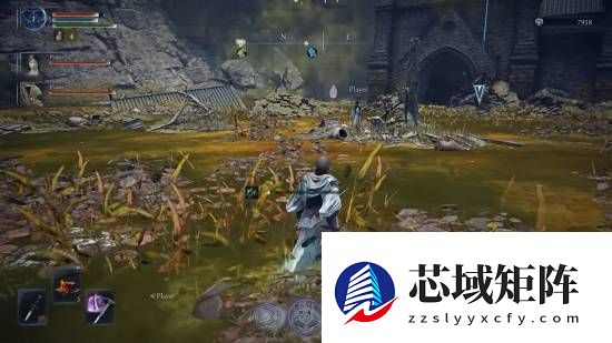 艾尔登法环DLC将推毒沼与大空洞新地形