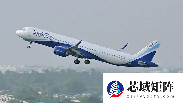 飞行员夜间飞行次数骤减！印度最大航司取消数千架次航班