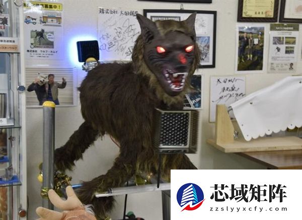 曾因外观被嘲笑“愚蠢” 日本部署狼型机器人驱熊