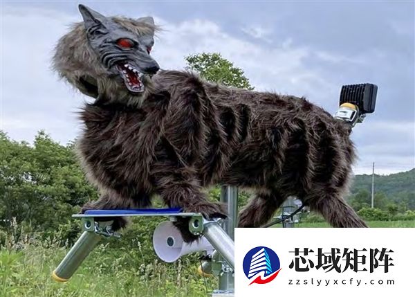 曾因外观被嘲笑“愚蠢” 日本部署狼型机器人驱熊