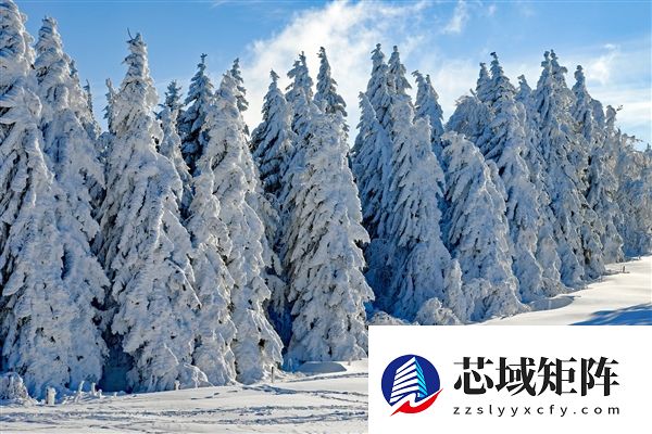 本周 北方将迎来今冬最大范围降雪