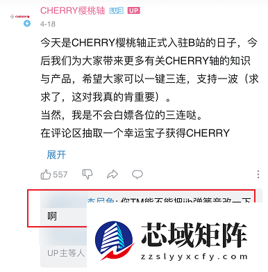 还记得Cherry键盘吗 它快被国产干破产了