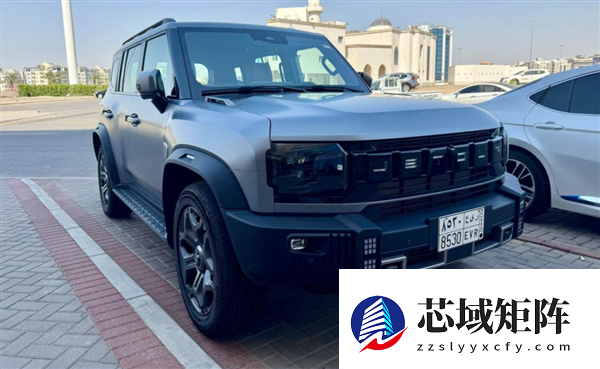 被新能源干趴的国产合资车 跑到海外干趴老外了