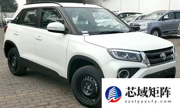 被新能源干趴的国产合资车 跑到海外干趴老外了