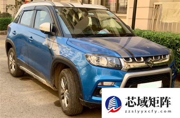 被新能源干趴的国产合资车 跑到海外干趴老外了