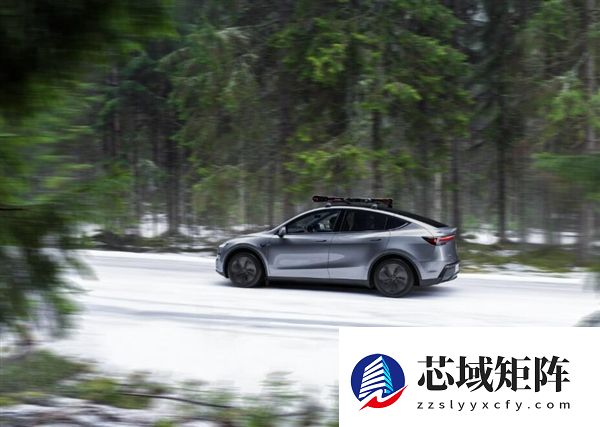 锁定挪威销冠 特斯拉打破大众保持9年的销量纪录