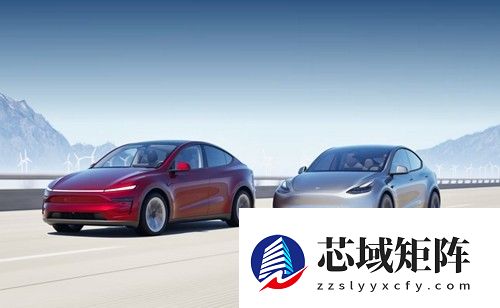 特斯拉欧洲销量持续下滑多国大幅萎缩