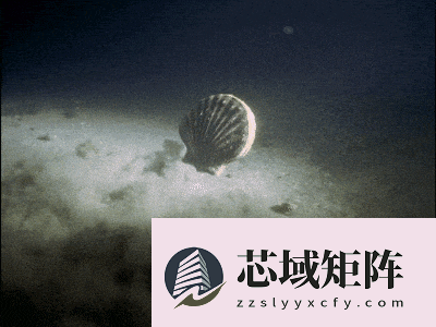 曾统治海底2亿年的腕足动物 为什么如今“拉到家”