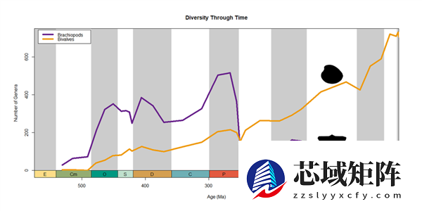 曾统治海底2亿年的腕足动物 为什么如今“拉到家”