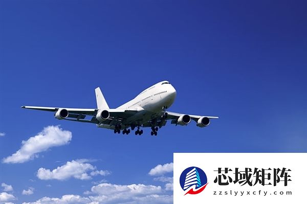 美国拟强制免签旅客提交5年社媒记录、家人信息