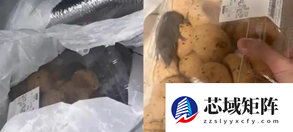 山姆致歉“麻薯盒内有活老鼠”：初步判断在取货点放置期间 被周边虫害偶然侵入所致