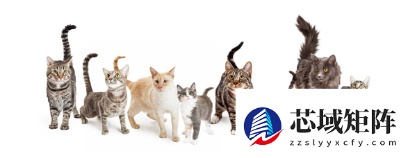 看完最新国产AI写的公众号文章 我慌了