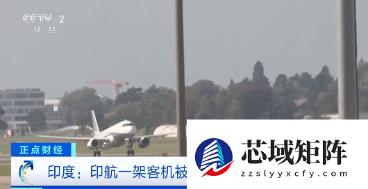 印度航空一架客机无证进行载客执飞  公司回应：这事是主动上报的