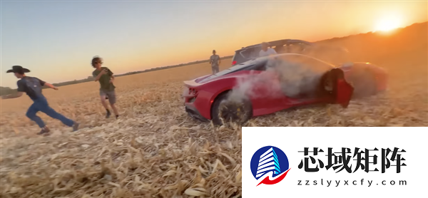 千万粉丝网红为博眼球烧掉价值40万美元的法拉利：却因逃税被抓