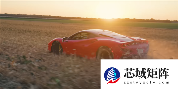 千万粉丝网红为博眼球烧掉价值40万美元的法拉利：却因逃税被抓