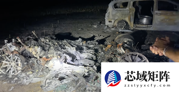 千万粉丝网红为博眼球烧掉价值40万美元的法拉利：却因逃税被抓