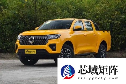 长城炮山地版上市,越野商用双线出击