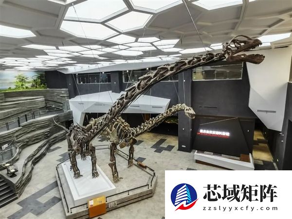 重庆发现巨型恐龙新物种 体长可达24米 改写东亚恐龙演化格局