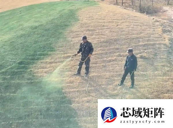 陕西一地给枯草喷颜料 当地回应:为美观调配的营养液