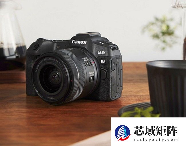 轻巧全能，触手可及：佳能R8如何成为入门全画幅的理想答案
