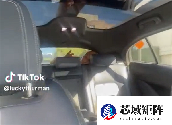 女子打自动驾驶出租车 后备箱里竟然藏着一光头男