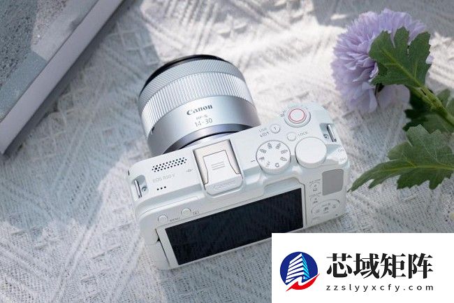 2025年拍照效果好相机：6000元价位，佳能R50V的疾速对焦与色彩玄学