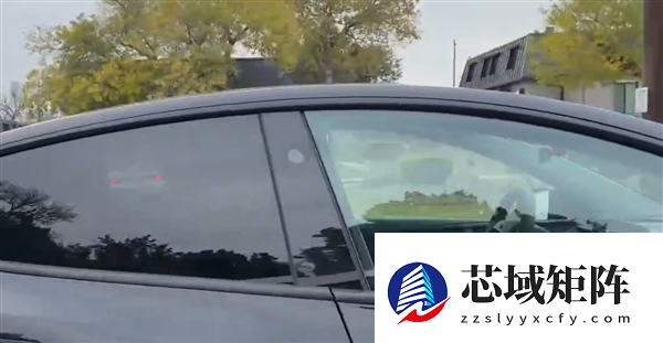 无安全员、无乘员 马斯克发文：特斯拉启动无人驾驶Robotaxi路测
