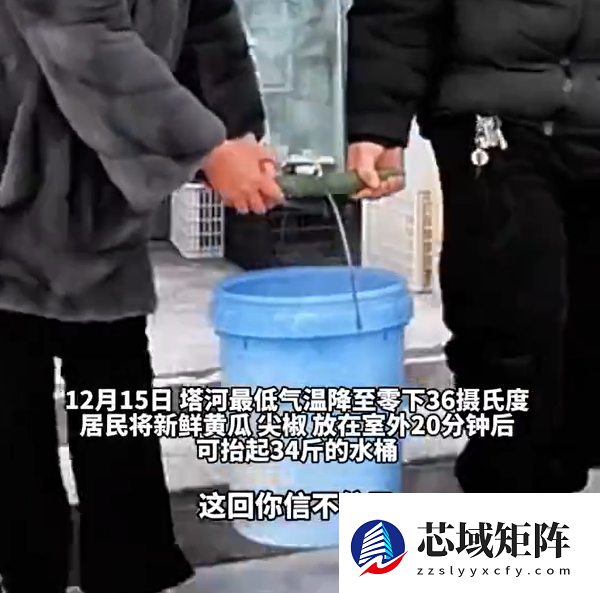 黑龙江冬天万物皆可速冻：黄瓜室外放20分钟能抬34斤水