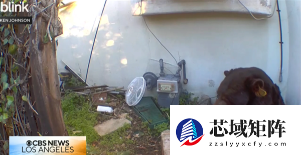 深夜听到沉重呼吸声：监控发现有个大家伙已在脚下潜伏数月