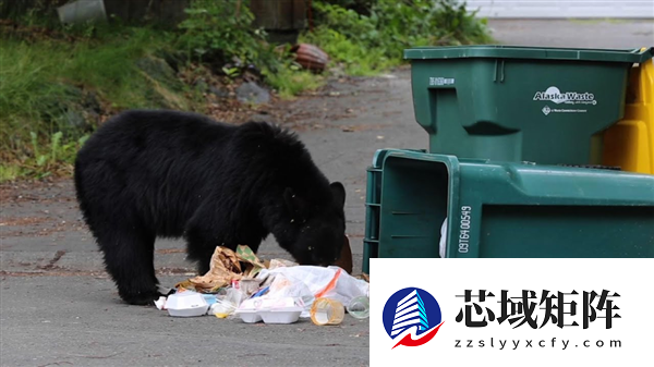 深夜听到沉重呼吸声：监控发现有个大家伙已在脚下潜伏数月