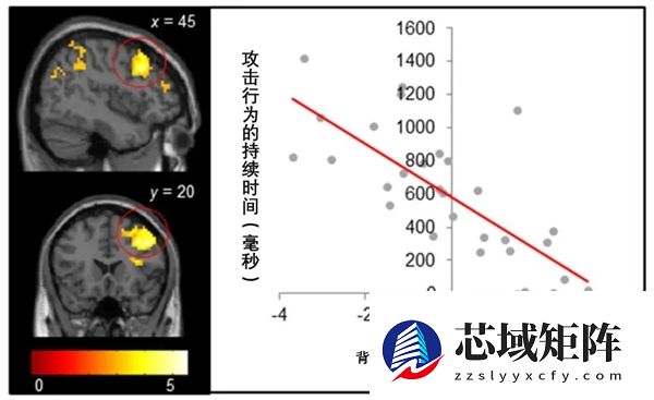 “网络引战”是一门生意 千万别被带节奏