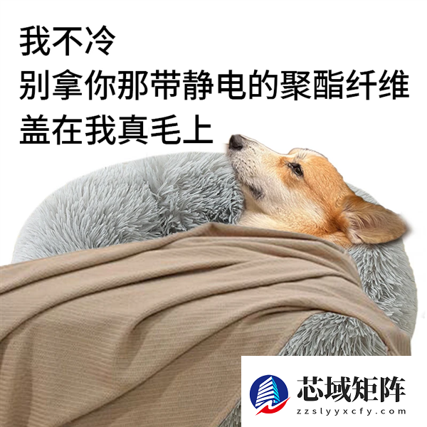 别买那些防静电神器了 真正的克星只需要一面墙