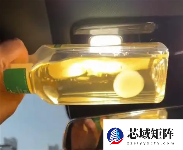 网友晒东方树叶养茶菌当宠物 专家提醒：应及时丢弃避免误食