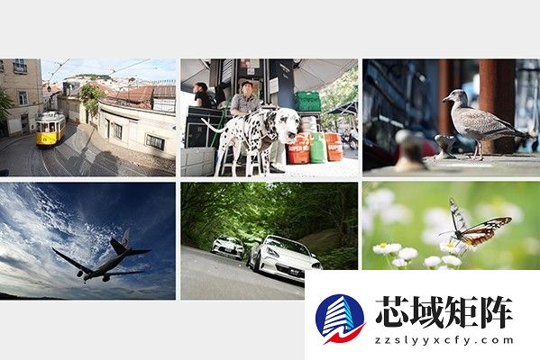 重新定义全画幅新基准？索尼A7M5上手体验