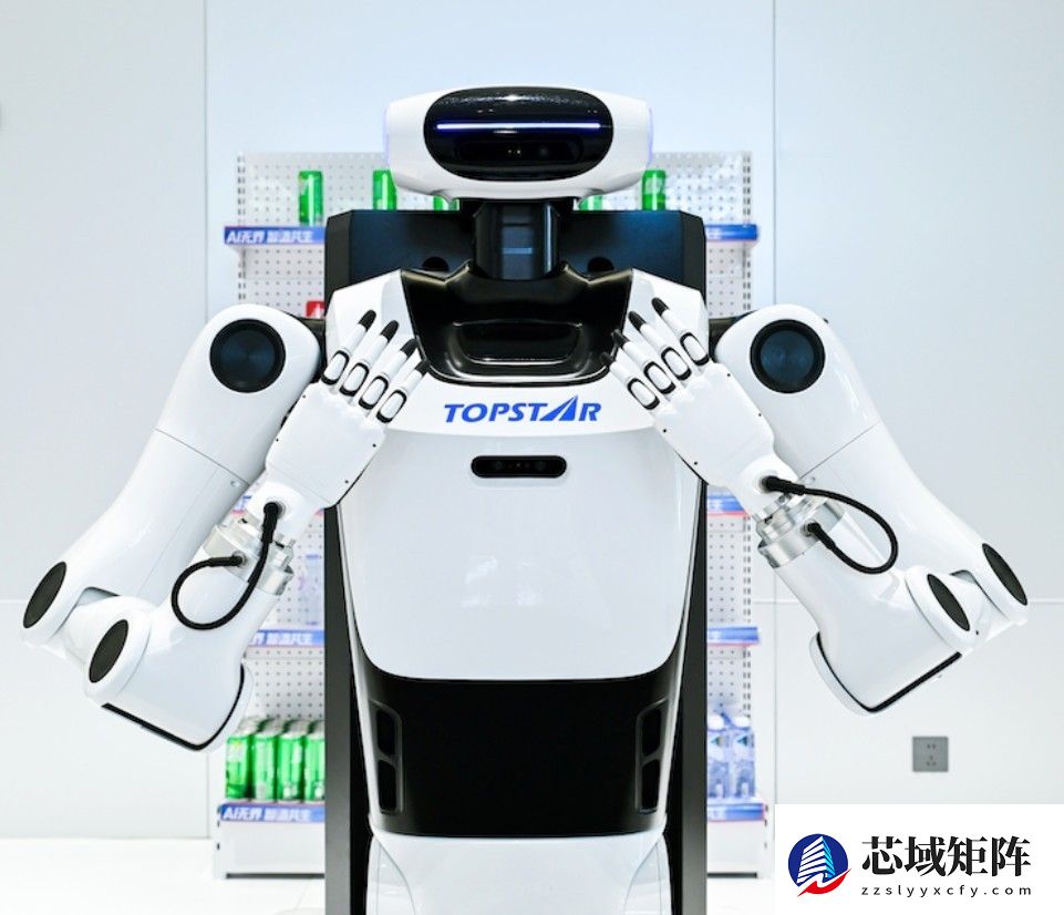 2025年国内人形机器人公司榜单深度解读：基于四大维度的系统评估