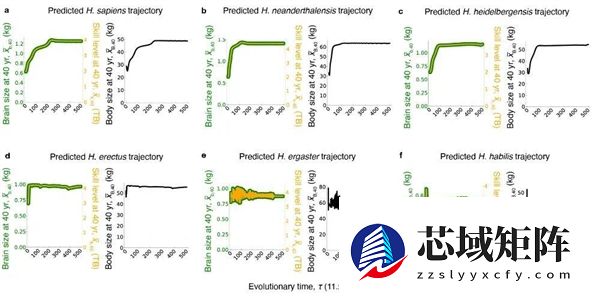 人类的大脑其实只利用了10%?真的假的