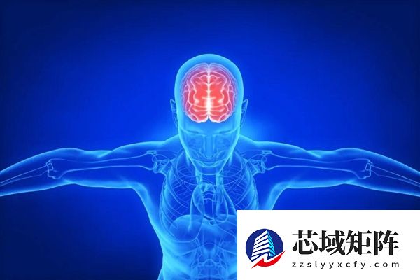 人类的大脑其实只利用了10%?真的假的