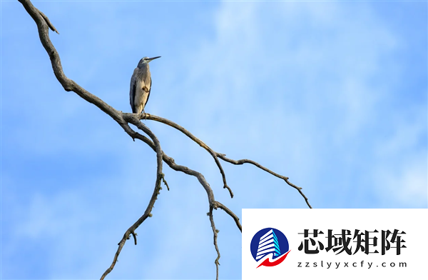 26.5微克/立方米！北京PM2.5平均浓度达到历史同期最优