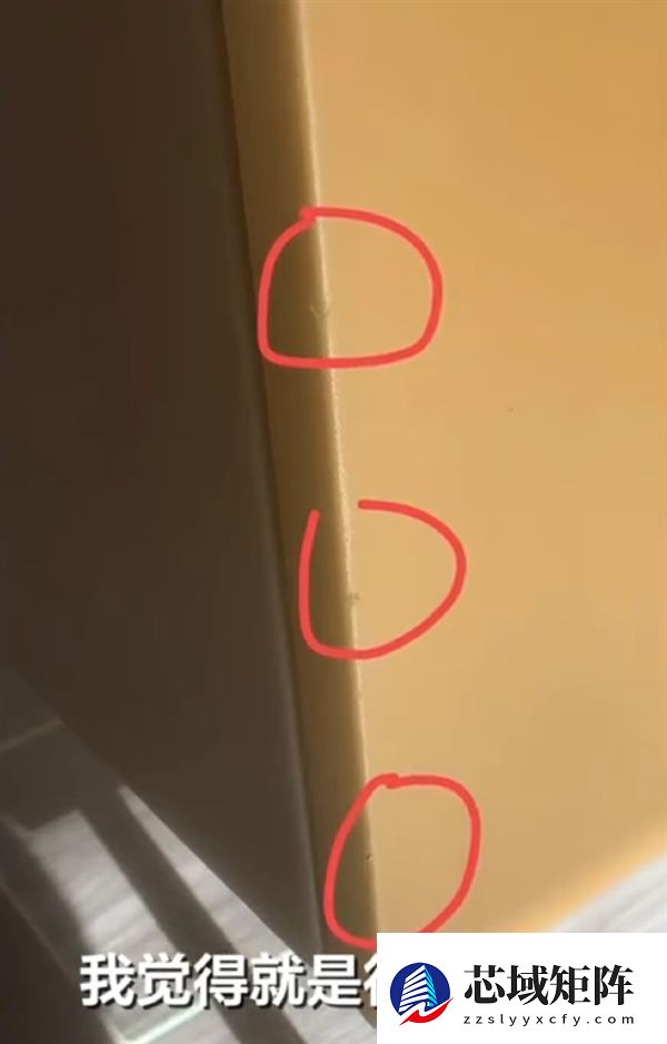 入住宠物友好酒店退房后遭“提灯定损”:拒退1000元押金 另收500元清洁费