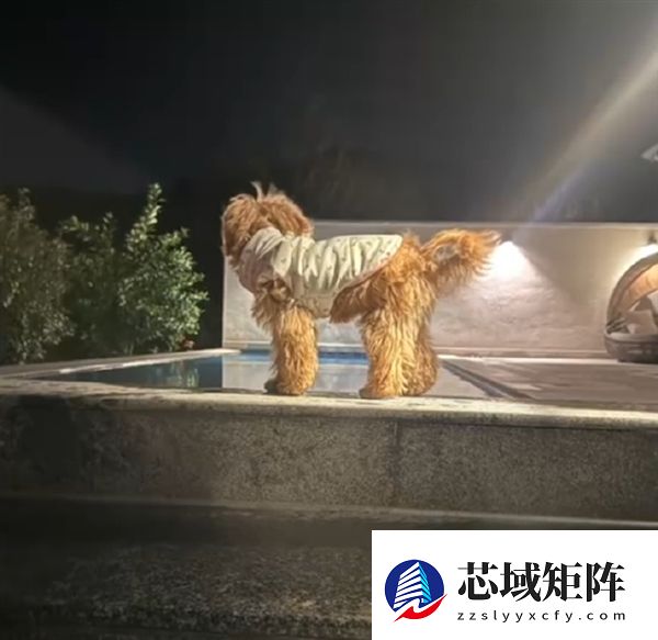 入住宠物友好酒店退房后遭“提灯定损”:拒退1000元押金 另收500元清洁费