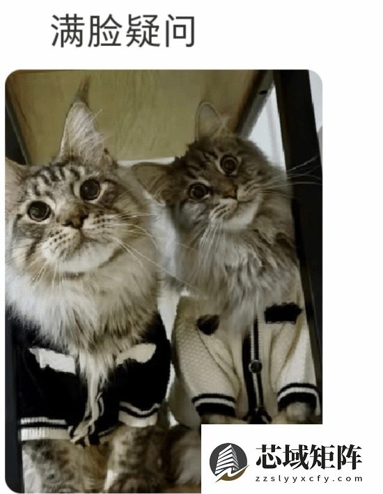 疯狂动物城2热映，宝伯特引爆缅因猫热潮与票房奇迹