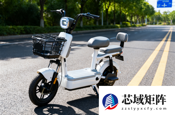 清华教授李稲葵建议放开禁限摩：可破解新国标电动车争议