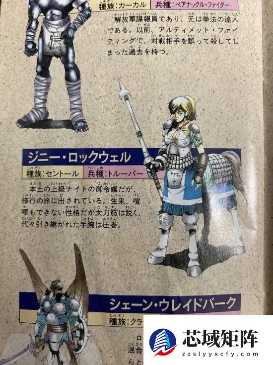 老玩家热议纸质游戏说明书消失！怀旧回忆碎满地